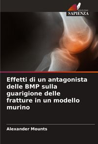 Produktbild: Effetti di un antagonista delle BMP sulla guarigione delle fratture in un modello murino