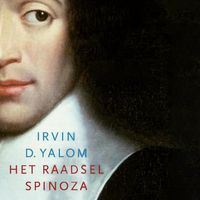 Produktbild: Het raadsel Spinoza