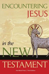 Produktbild: Encountering Jesus in the New Testament