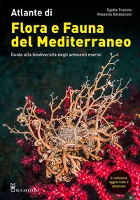 Produktbild: Atlante di flora e fauna del Mediterraneo. Guida alla biodiversit&agrave; degli ambienti marini