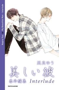 Produktbild: My beautiful man. Interlude
