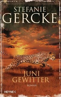 Produktbild: Junigewitter