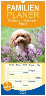 Produktbild: Familienplaner 2026 - Maltipoo - Malteser -Pudel mit 5 Spalten (Wandkalender, 21 x 45 cm) CALVENDO