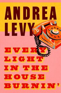 Produktbild: Levy, A: Every Light in the House Burnin'
