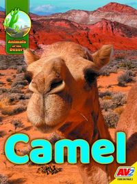 Produktbild: Camel