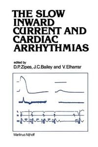 Produktbild: The Slow Inward Current and Cardiac Arrhythmias