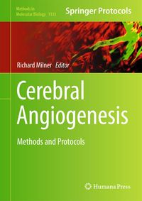 Produktbild: Cerebral Angiogenesis