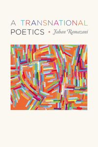 Produktbild: Transnational Poetics