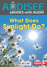 Produktbild: What Does Sunlight Do?