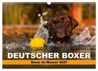 Produktbild: Deutscher Boxer - Boxer im Wasser 2027 (Wandkalender 2027 DIN A3 quer), CALVENDO Monatskalender