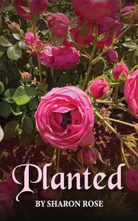 Produktbild: Planted