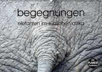 Produktbild: begegnungen - elefanten im s&uuml;dlichen afrika (Wandkalender immerw&auml;hrend DIN A2 quer)