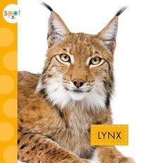 Produktbild: Lynx