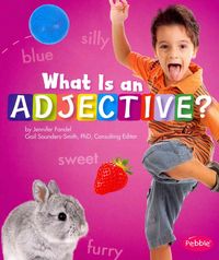 Produktbild: What Is An Adjective
