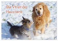 Produktbild: Die Welt der Haustiere (Wandkalender 2026 DIN A3 quer), CALVENDO Monatskalender