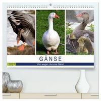 Produktbild: G&auml;nse. Von wegen dumme Gans! (hochwertiger Premium Wandkalender 2027 DIN A2 quer), Kunstdruck in Hochglanz