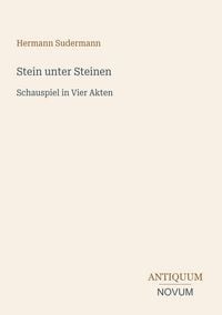 Produktbild: Stein unter Steinen