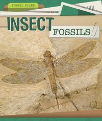 Produktbild: Insect Fossils