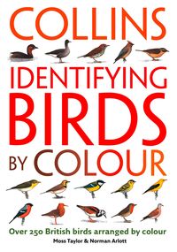 Produktbild: Identifying Birds by Colour