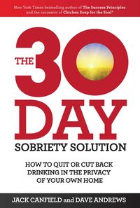Produktbild: Andrews, D: 30-Day Sobriety Solution