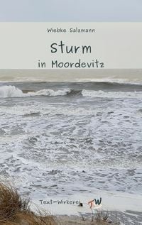 Produktbild: Sturm in Moordevitz