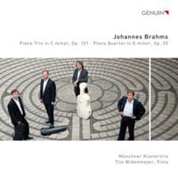 Produktbild: Klaviertrio op.101/Klavierquartett op.25