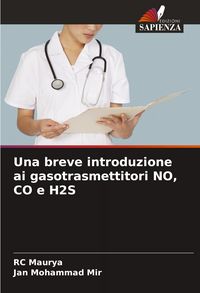 Produktbild: Una breve introduzione ai gasotrasmettitori NO, CO e H2S