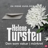 Produktbild: Den som vakar i m&ouml;rkret