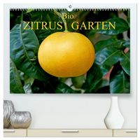 Produktbild: Bio Zitrus Garten (hochwertiger Premium Wandkalender 2026 DIN A2 quer), Kunstdruck in Hochglanz