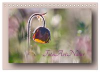 Produktbild: Foto-Art-Natur (Tischkalender 2026 DIN A5 quer), CALVENDO Monatskalender