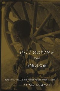 Produktbild: Wagner, B: Disturbing the Peace - Black Culture and the Poli