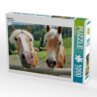 Produktbild: CALVENDO Puzzle Die zwei | 1000 Teile Lege-Gr&ouml;&szlig;e 64x48cm Foto-Puzzle f&uuml;r gl&uuml;ckliche Stunden