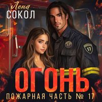 Produktbild: Ogon'
