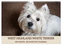 Produktbild: WEST HIGHLAND WHITE TERRIER - DER WESTIE - EIN HUND MIT CHARISMA (Wandkalender 2026 DIN A3 quer), CALVENDO Monatskalender