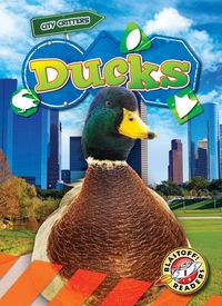 Produktbild: Ducks
