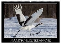 Produktbild: Mandschurenkraniche (Wandkalender 2026 DIN A2 quer), CALVENDO Monatskalender
