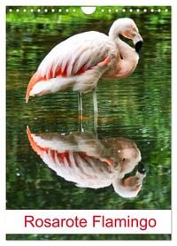 Produktbild: Rosarote Flamingo (Wandkalender 2026 DIN A4 hoch), CALVENDO Monatskalender