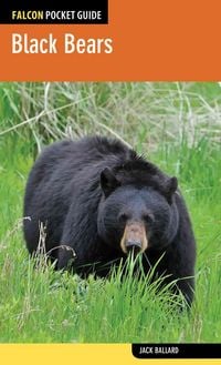 Produktbild: Black Bears