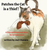 Produktbild: Patches The Cat is a Thief !