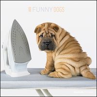 Bild vom Artikel Funny Dogs 2023 - Broschürenkalender 30x30 cm (30x60 geöffnet) - Kalender mit Platz für Notizen - Hunde - Bildkalender - Wandkalender - Hundekalender vom Autor 