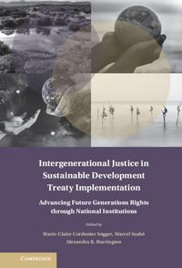Produktbild: Intergenerational Justice in Sustainable Development Treaty Implementation