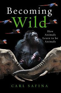 Bild vom Artikel Becoming Wild vom Autor Carl Safina