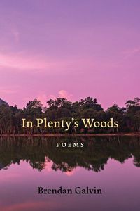 Produktbild: In Plenty's Woods