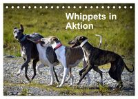 Produktbild: Whippets in Aktion (Tischkalender 2026 DIN A5 quer), CALVENDO Monatskalender