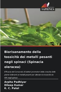Produktbild: Biorisanamento della tossicit&agrave; dei metalli pesanti negli spinaci (Spinacia oleracea)