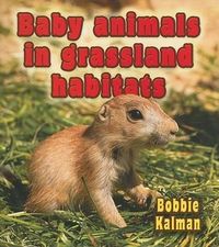 Produktbild: Baby Animals in Grassland Habitats