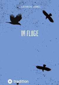 Produktbild: Im Fluge