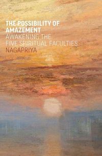 Produktbild: The Possibility of Amazement