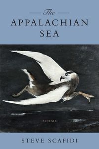 Produktbild: Appalachian Sea