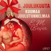 Produktbild: 9. joulukuuta: Kuumaa joulutunnelmaa &ndash; eroottinen joulukalenteri
